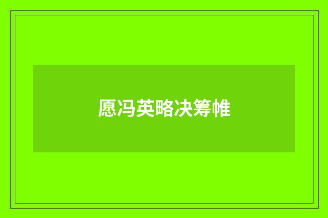 愿冯英略决筹帷