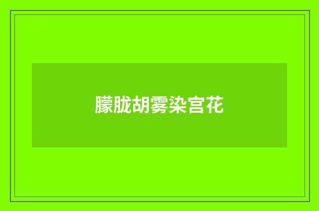 朦胧胡雾染宫花