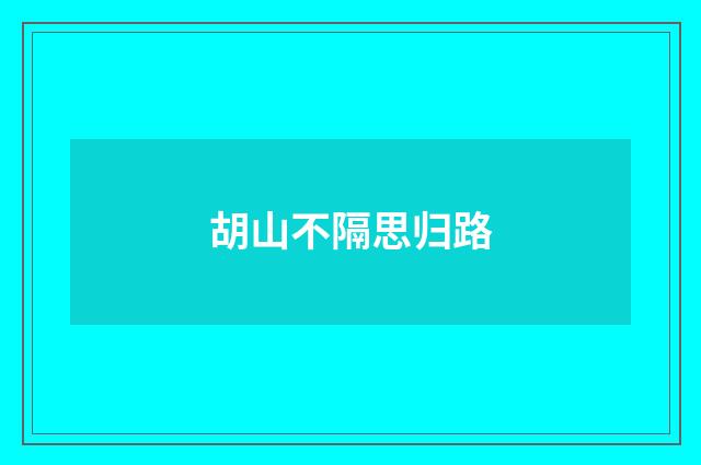 胡山不隔思归路