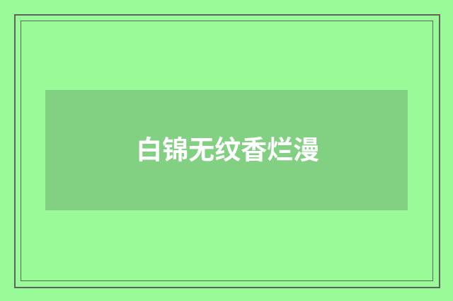 白锦无纹香烂漫