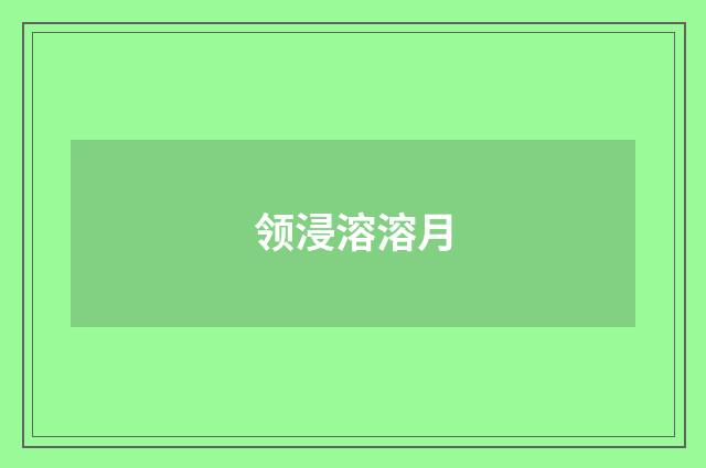 领浸溶溶月