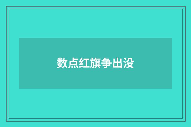 数点红旗争出没