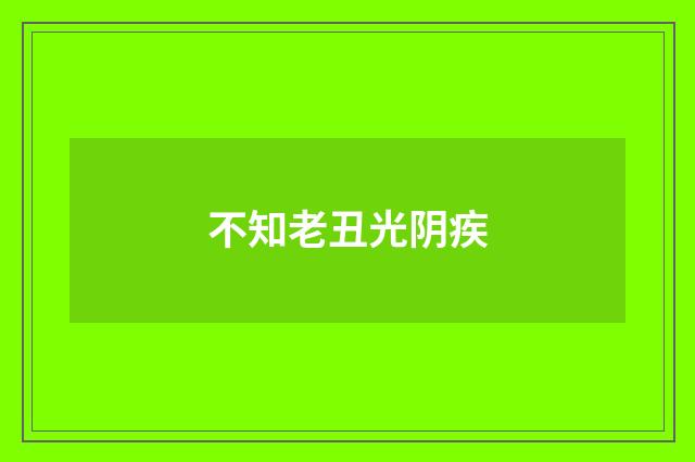 不知老丑光阴疾