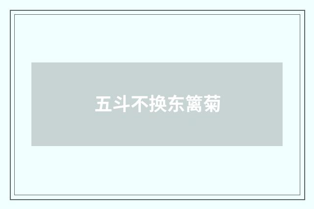 五斗不换东篱菊