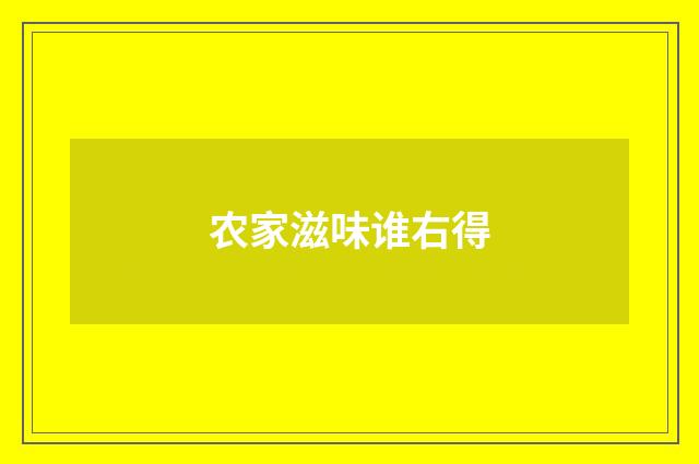 农家滋味谁右得