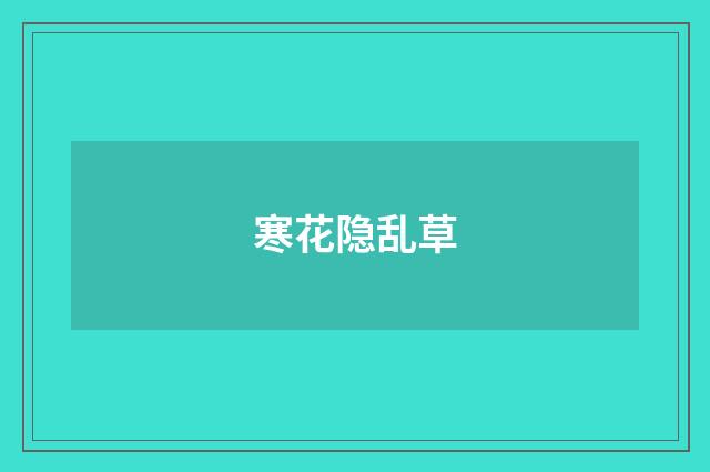 寒花隐乱草