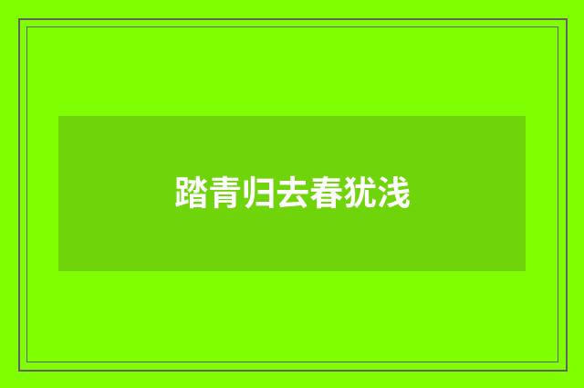踏青归去春犹浅
