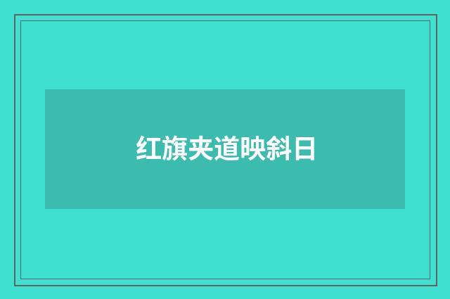 红旗夹道映斜日