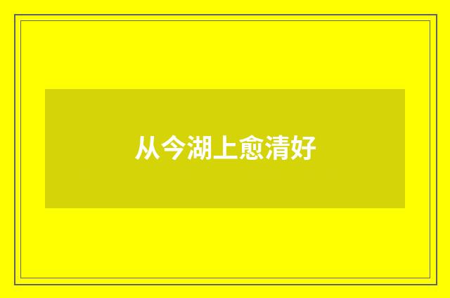 从今湖上愈清好