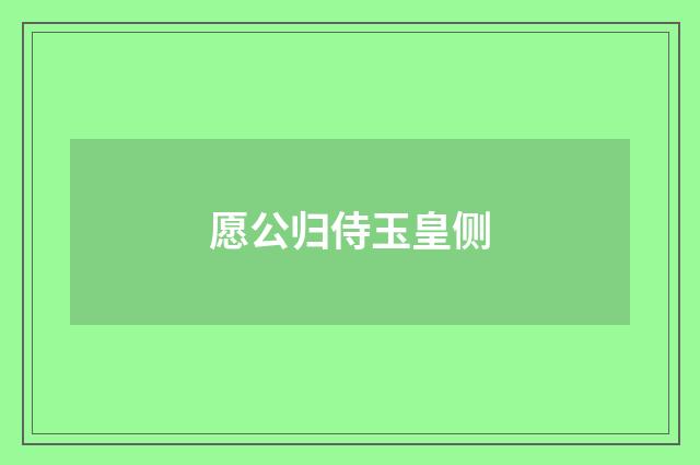 愿公归侍玉皇侧