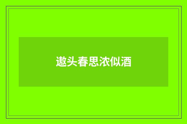 遨头春思浓似酒