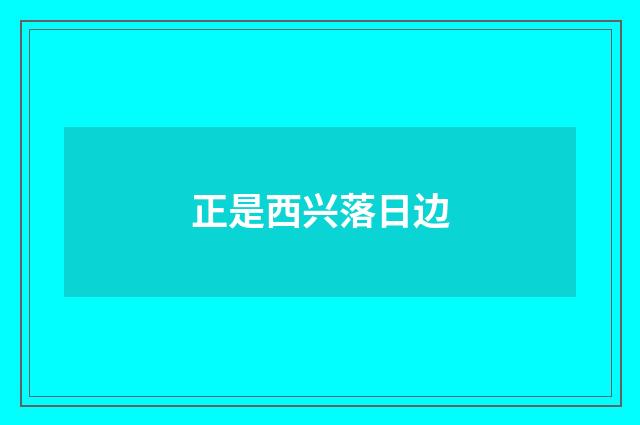 正是西兴落日边