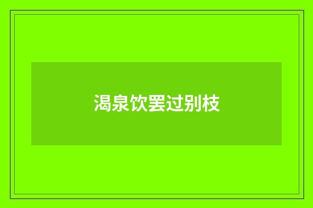 渴泉饮罢过别枝