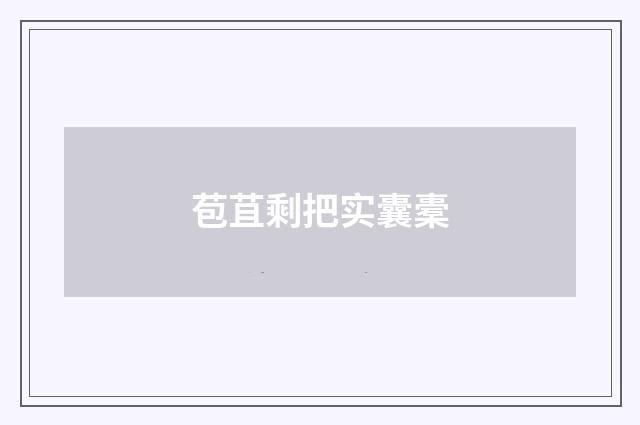 苞苴剩把实囊橐