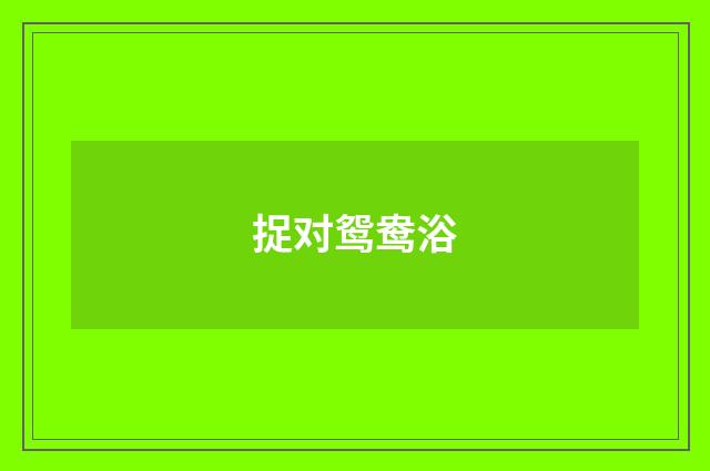 捉对鸳鸯浴