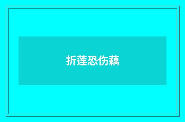 折莲恐伤藕