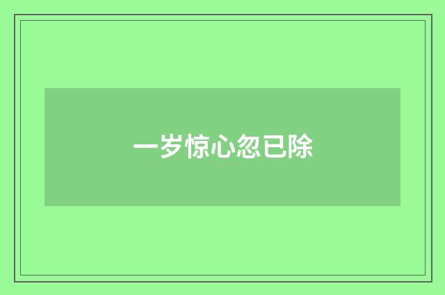 一岁惊心忽已除