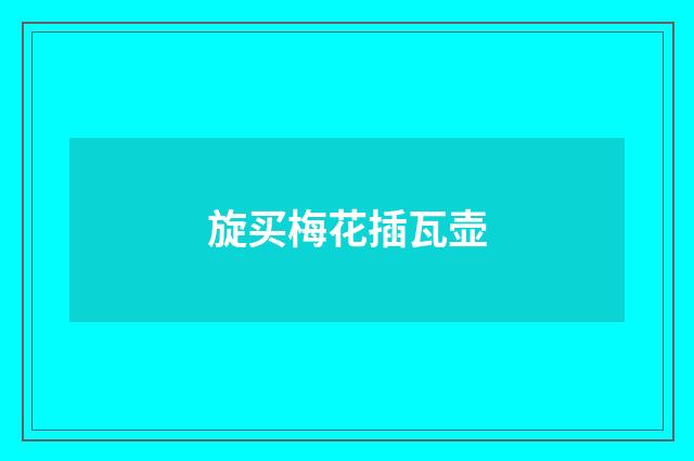 旋买梅花插瓦壶