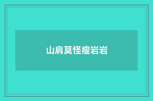 山肩莫怪瘦岩岩