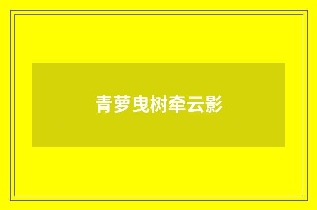 青萝曳树牵云影