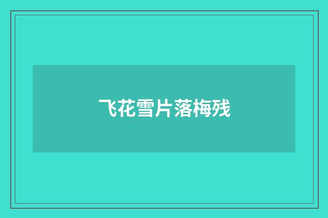 飞花雪片落梅残