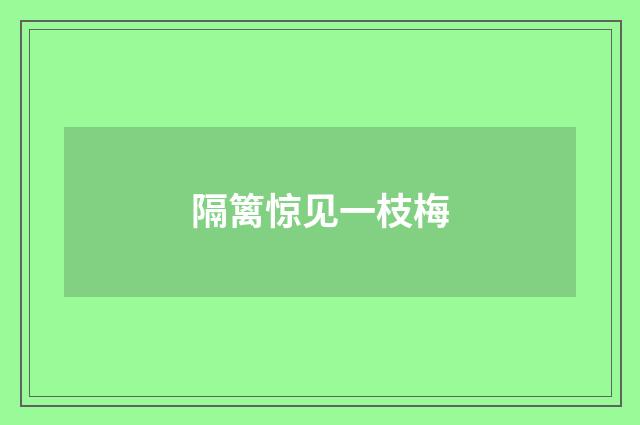 隔篱惊见一枝梅