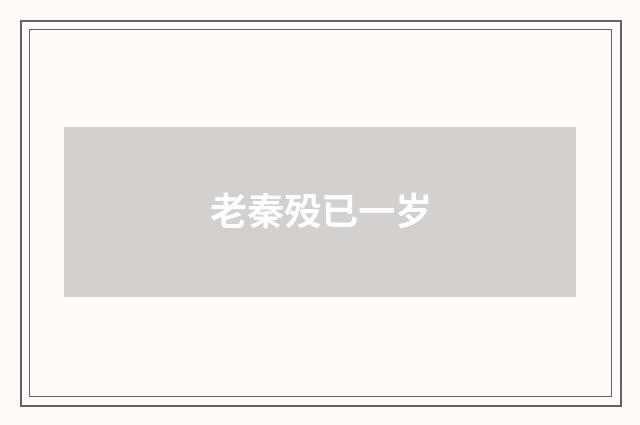 老秦殁已一岁