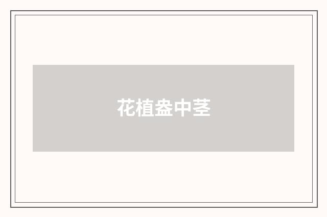 花植盎中茎