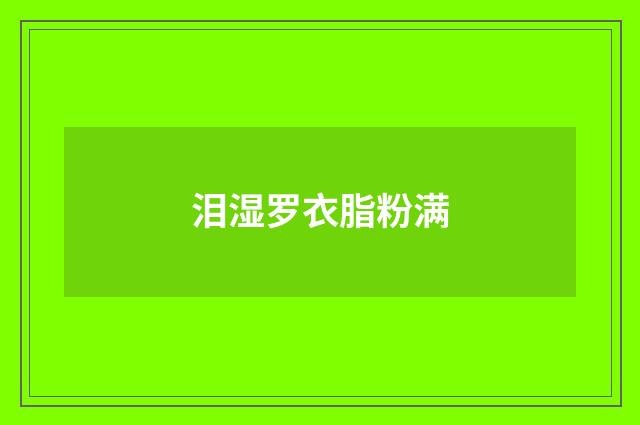 泪湿罗衣脂粉满