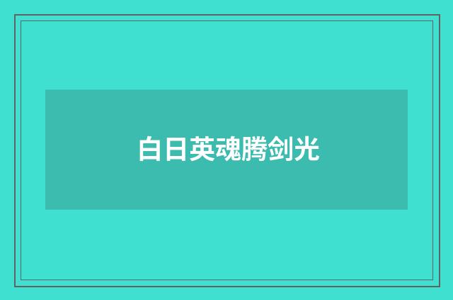 白日英魂腾剑光