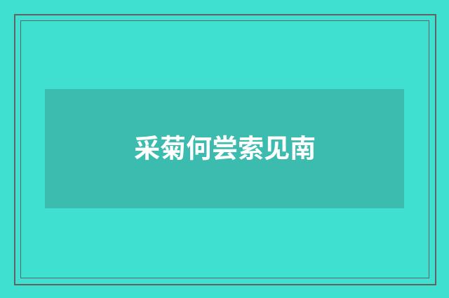 采菊何尝索见南