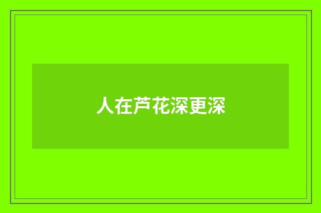 人在芦花深更深