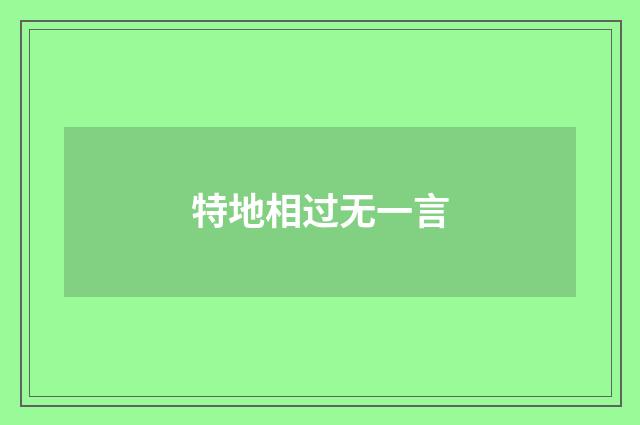 特地相过无一言