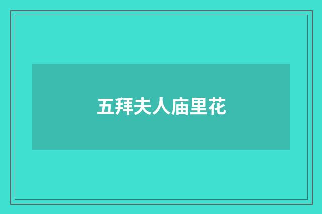 五拜夫人庙里花
