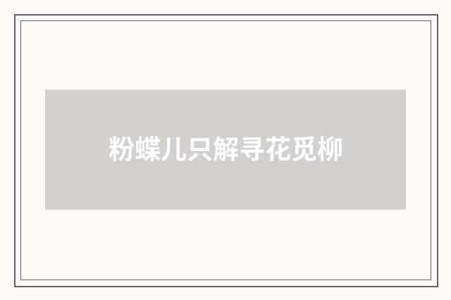 粉蝶儿只解寻花觅柳