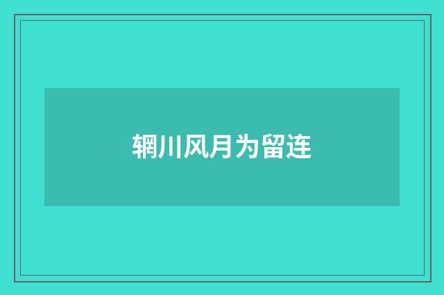 辋川风月为留连