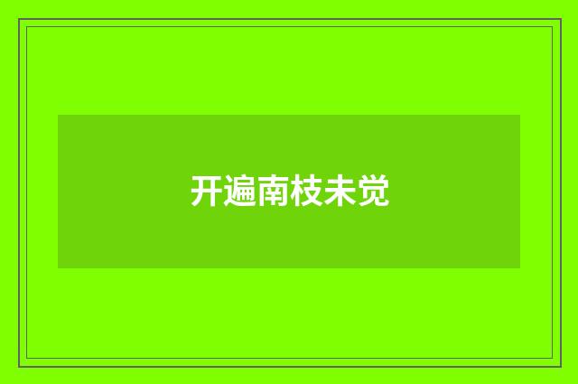 开遍南枝未觉
