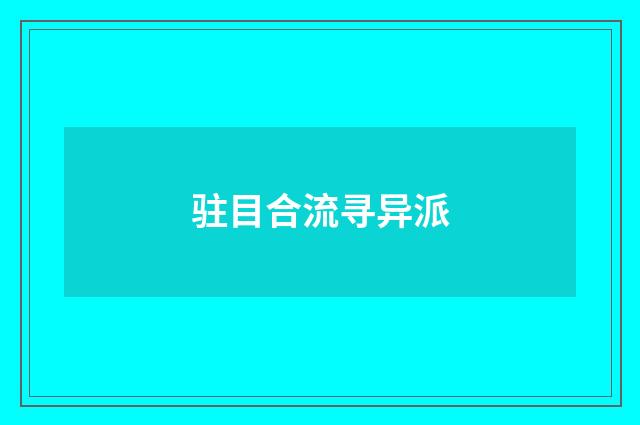 驻目合流寻异派