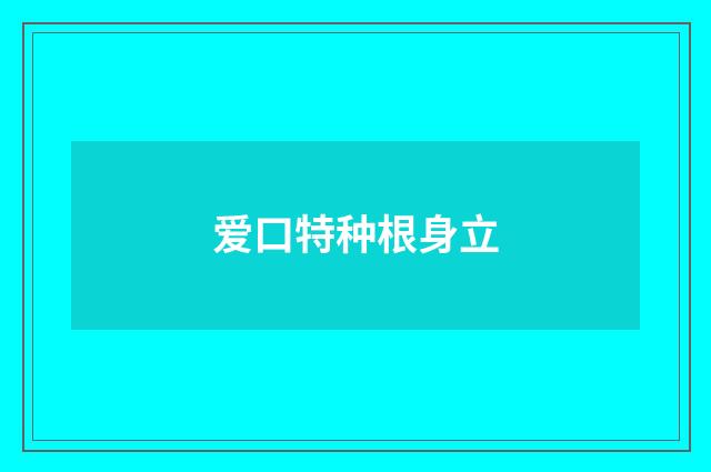 爱口特种根身立