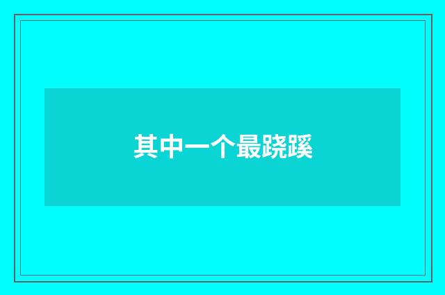 其中一个最跷蹊