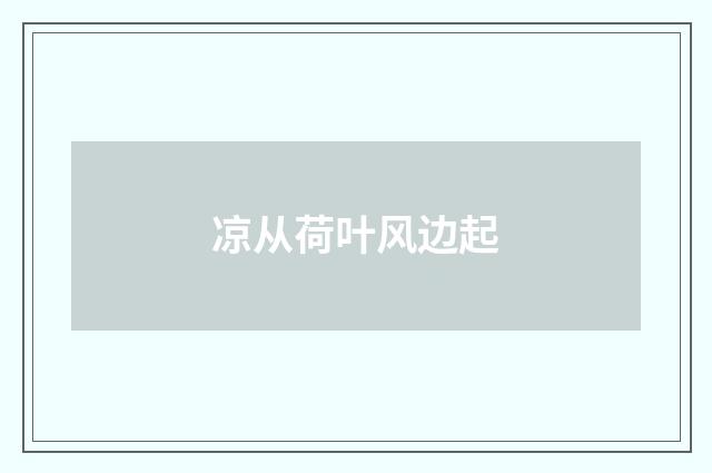 凉从荷叶风边起