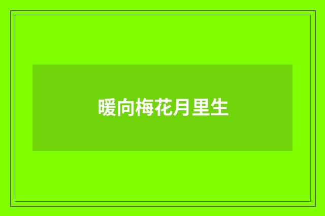暖向梅花月里生