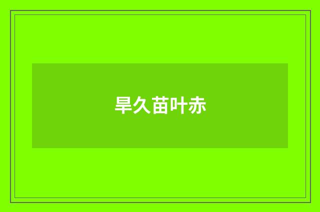 旱久苗叶赤
