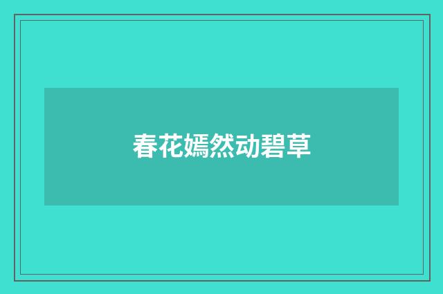 春花嫣然动碧草
