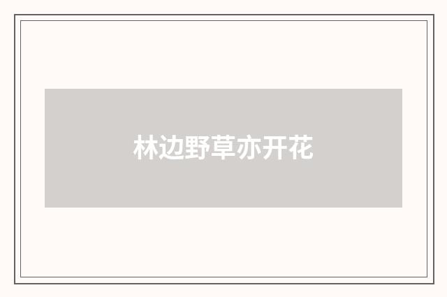 林边野草亦开花