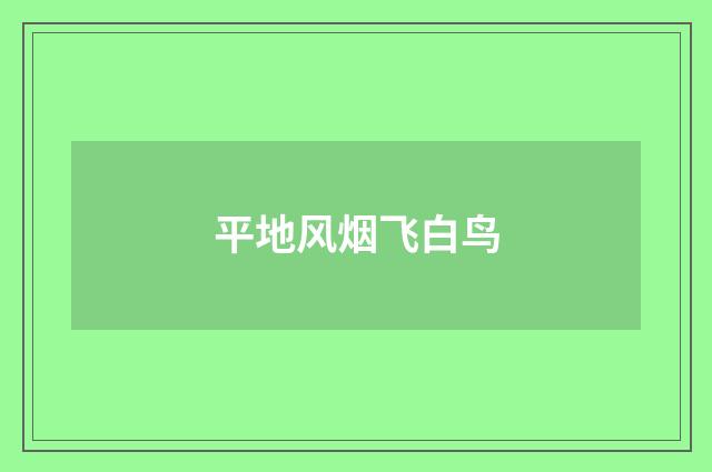 平地风烟飞白鸟