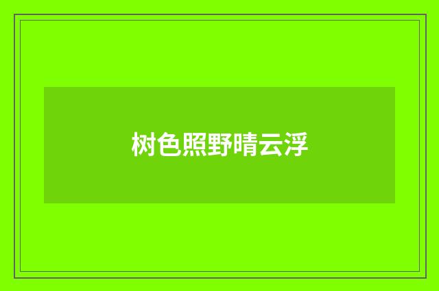 树色照野晴云浮