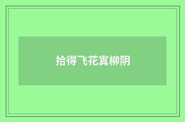 拾得飞花寘柳阴