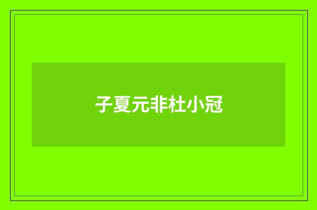 子夏元非杜小冠
