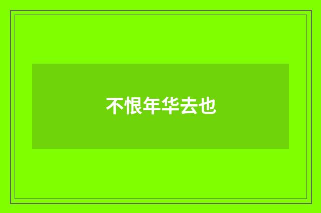 不恨年华去也